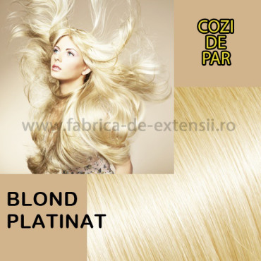 Cozi de Par Blond Platinat Cozi de Par Blond Platinat