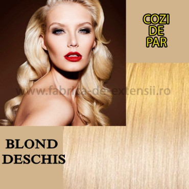 Cozi de Par Blond Deschis Cozi de Par Blond Deschis
