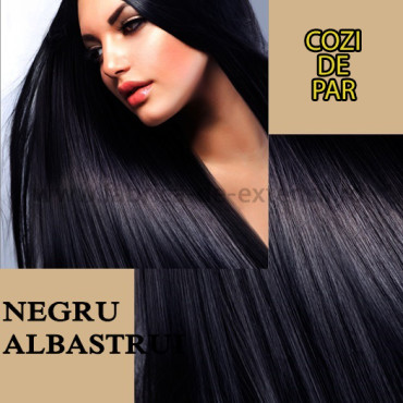 Cozi de Par Negru Albastrui Cozi de Par Negru Albastrui