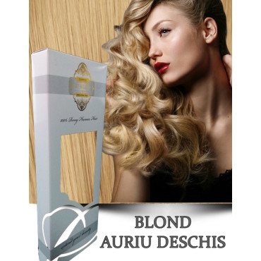 White Platinum Blond Auriu Deschs White Platinum Blond Auriu Deschs